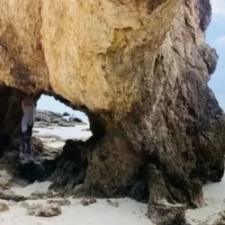 День 7. Нежная соматическая йога. Сноркелинг на море в соп