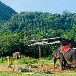 День 1. Встреча в Chiang Mai. Парим над облаками.
