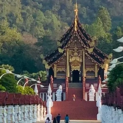 День 6. Гора Doi Inthanon 2565 метров. Прогулка в облаках.