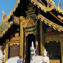 День 6. Гора Doi Inthanon 2565 метров. Прогулка в облаках.
