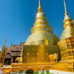 День 7. Chiang Mai. Вылет из аэропорта. Возвращение домой