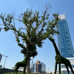 День 1. Прибытие в Ташкент