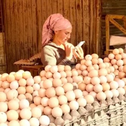 День 6. Бухара