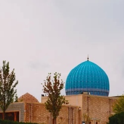 День 1. Прибытие в Ташкент