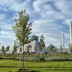 День 2. Экскурсия по Ташкенту