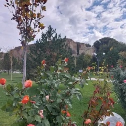 День 3. Самарканд