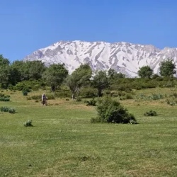 День 6. Чимганские горы и курорт Амирсой
