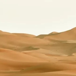 День 2. Пустыня