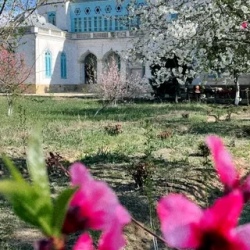 День 4. Бухара