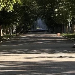 День 1. Знакомство