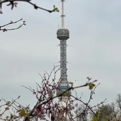 День 1. Ташкент — первое знакомство с тканями