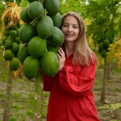 День 7. Покупка сувениров и фруктов, день релакса.