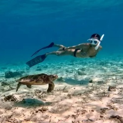 День 2. Водные виды спорта и морская черепаха