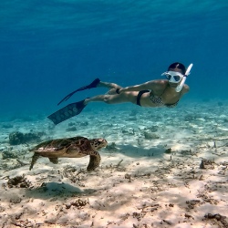 День 2. Водные виды спорта и морская черепаха