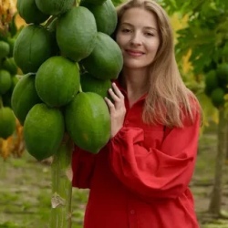 День 7. Покупка фруктов и сувениров, прогулка по острову.