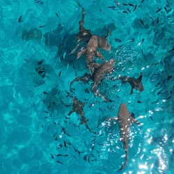 День 1. Встреча, знакомство