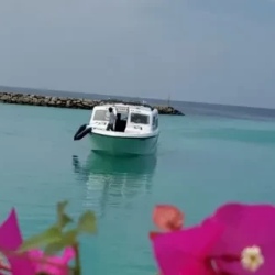 День 8. Заключительный день