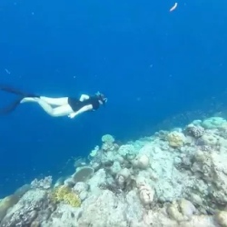 День 7. Подводное кормление рыб