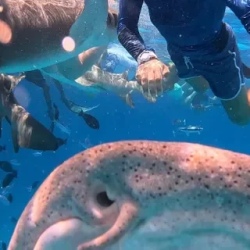 День 3. Встреча с морским дьяволом