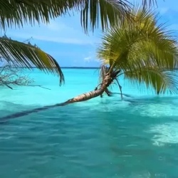 День 2. Слияние с океаном