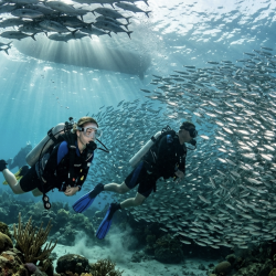День 6. Rasdhoo Atoll