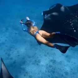 День 2. Hanifaru Bay — заповедник UNESCO
