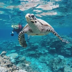 День 3. Коралловые рифы и остров Fuladhoo