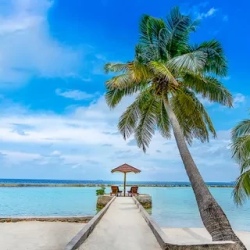 День 7. День на резорте Cinnamon Ellaidhoo.
