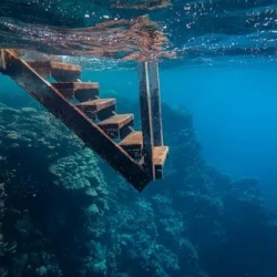 День 6. Полный отдых у Красного моря