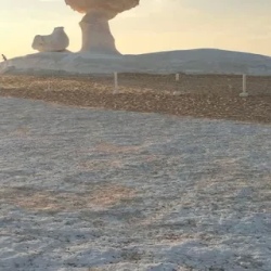 День 1. белая и черная пустыни