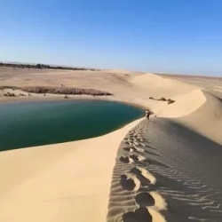 День 2. Оазис алфаюм