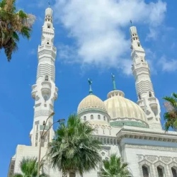 День 7. Шармелшейх вдоль и поперёк
