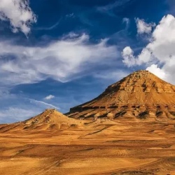 День 5. Exploring the Wonders of the Desert