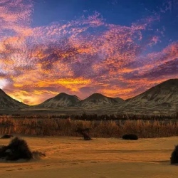 День 5. Exploring the Wonders of the Desert