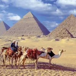 День 2. Giza Pyramids and Grand Egyptian Museum Tour