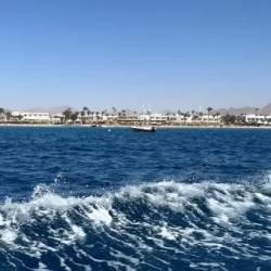 День 5. 5 день