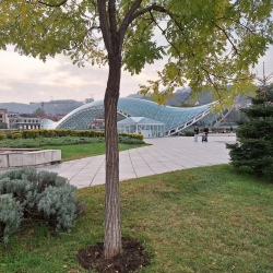 День 5. Переезд в Грузию