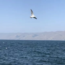 День 4. Армянское море