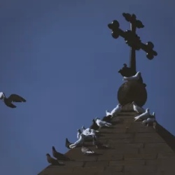 День 1. День прилета