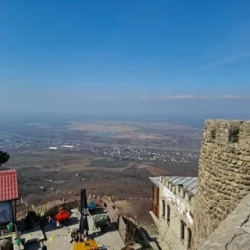 День 8. Поездка в Сигнахи, Кахетию и Алазанскую долину