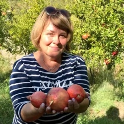 День 4. Знакомство с Мегри. Сбор королевского фрукта