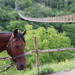 День 1. Хор Вирап, Нораванк, винодельня Арени, Горис