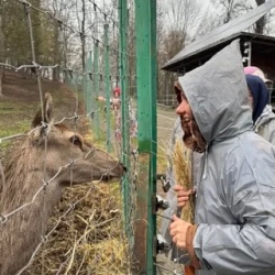 День 5. Парз Лич: лесное озеро и пятнистые олени в тени.