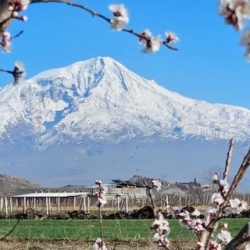 День 4. Юг Армении и путь к Арарату
