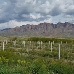 День 5. Крылья над ущельем