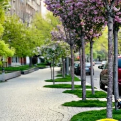 День 1. Сагмосаванк и винодельня Van Ardi
