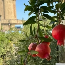 День 3. Весёлая Шемаха + медный Лагич + ущелья Габалы