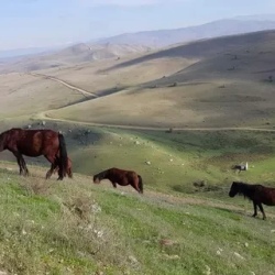 День 4. Габала — древняя столица и горное вдохновение