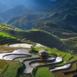 День 10. Mu Cang Chai