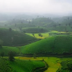 День 11. Mu Cang Chai — Лаокай — Ханой